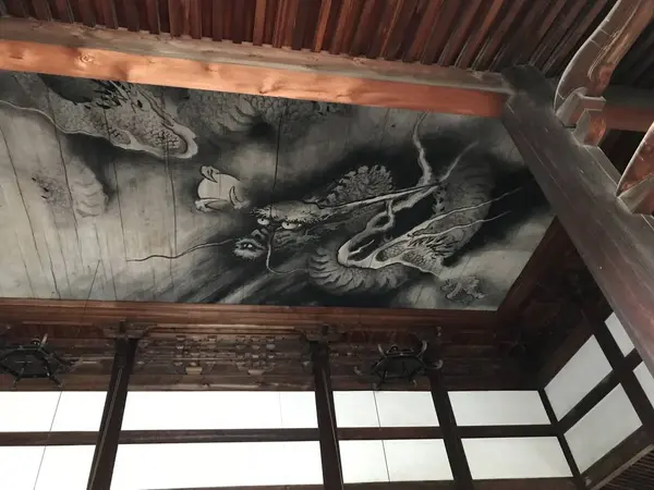 天井に🐲