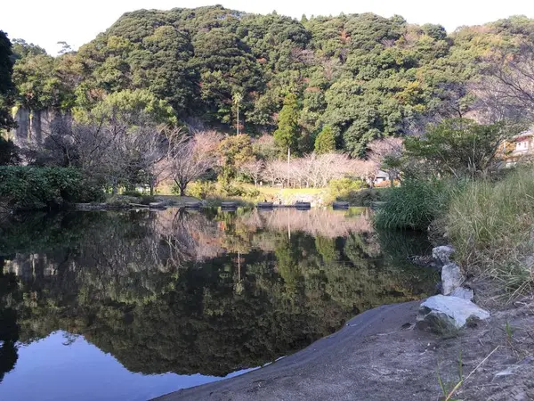 美しい水面
