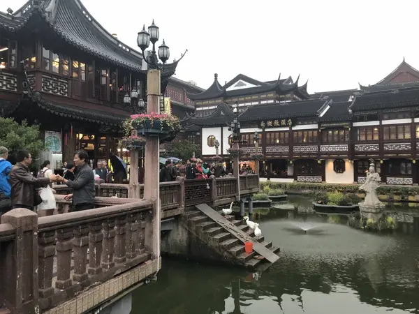 ザ中国