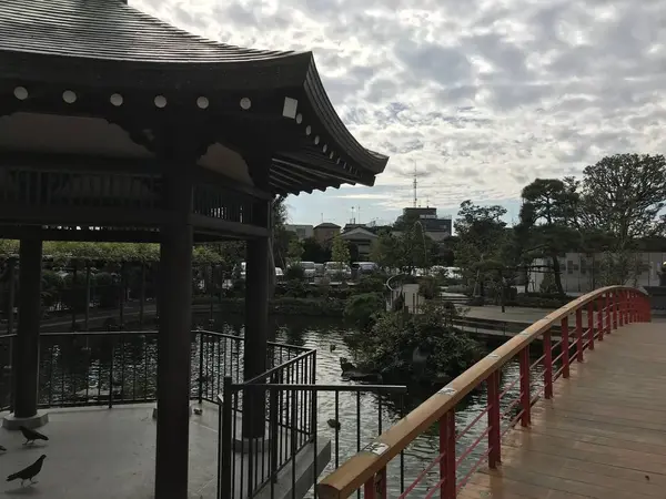 ちょっとした庭園