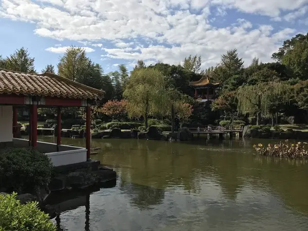 池は結構、大きいです。