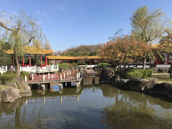 隅から隅まで中国ちっく