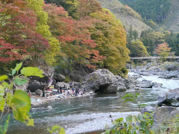 遊歩道沿いでは..