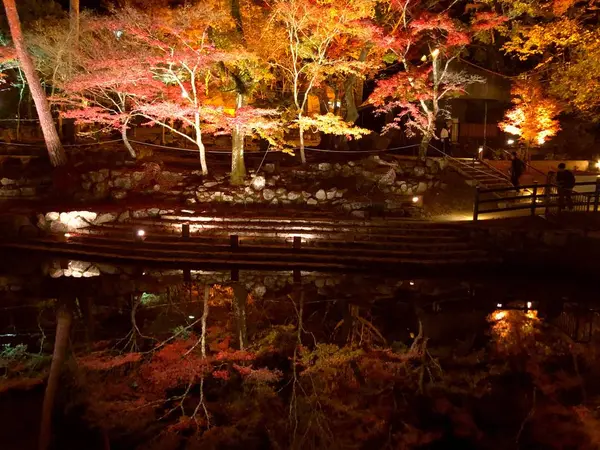 岩屋堂公園の逆さ紅葉