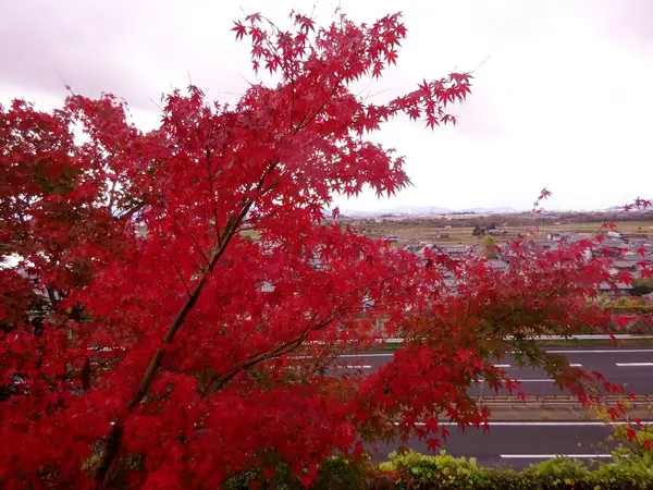 ここに東大寺の荘園があった