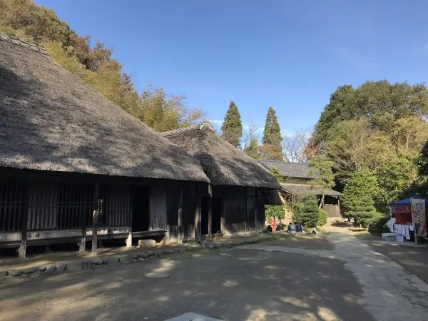 ニワトリとか居そうです^ - ^
