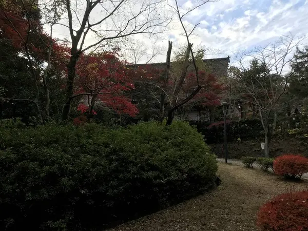 生田緑地からの日本民家園