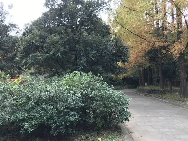 秋ですねぇ。