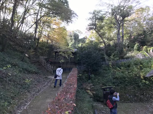 エクストリーム坂道