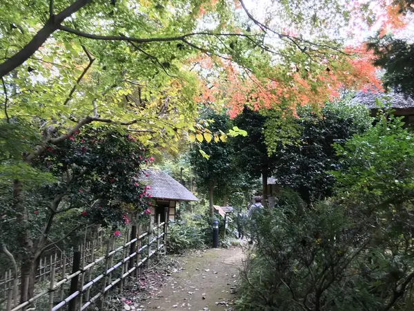 自画自賛画像