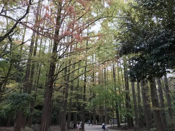 地上目線だと・・・