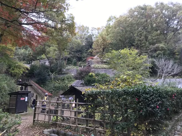 何か、奥行きを感じない画像ですw