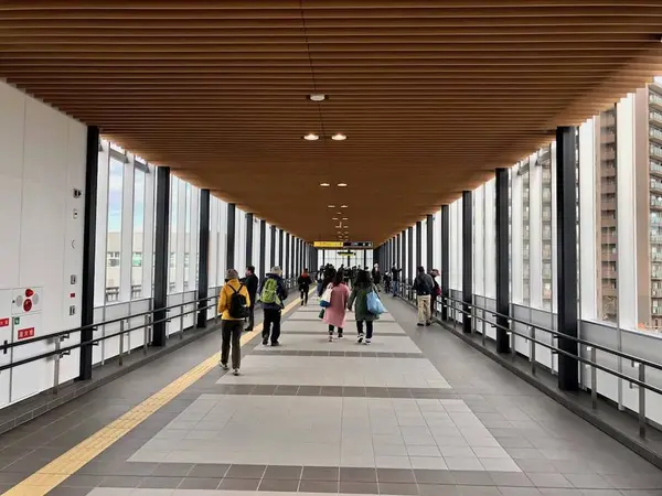 南北自由通路