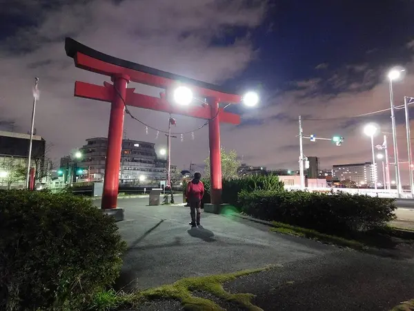 見上げる