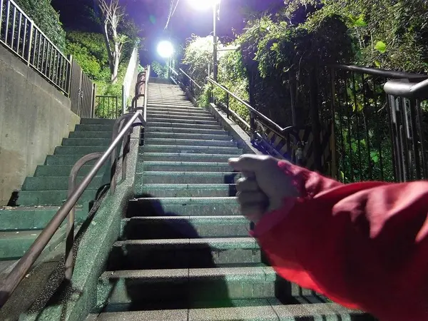 実験結果