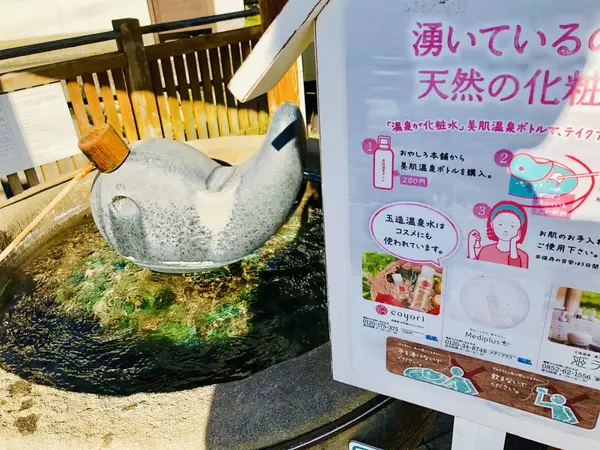 スポット内のおすすめ