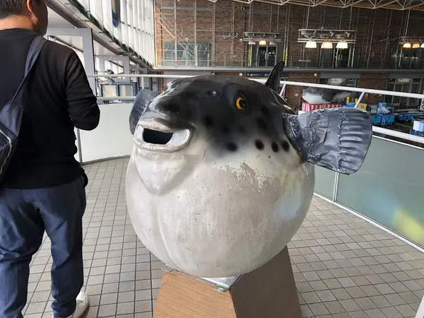 フクマネキン