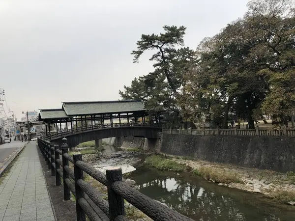 鞘橋