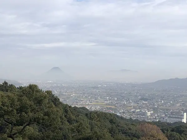 展望台から