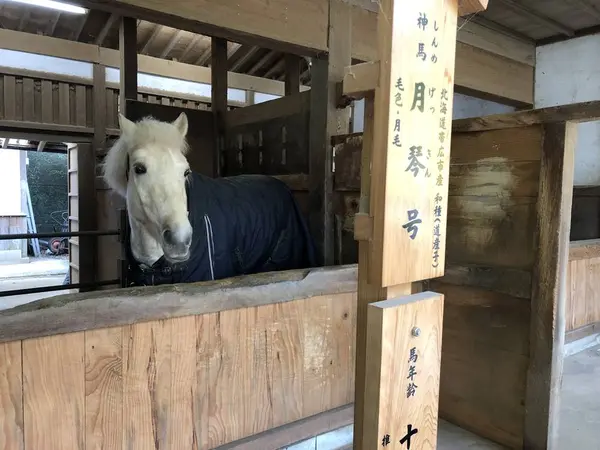 神馬　月琴号さん