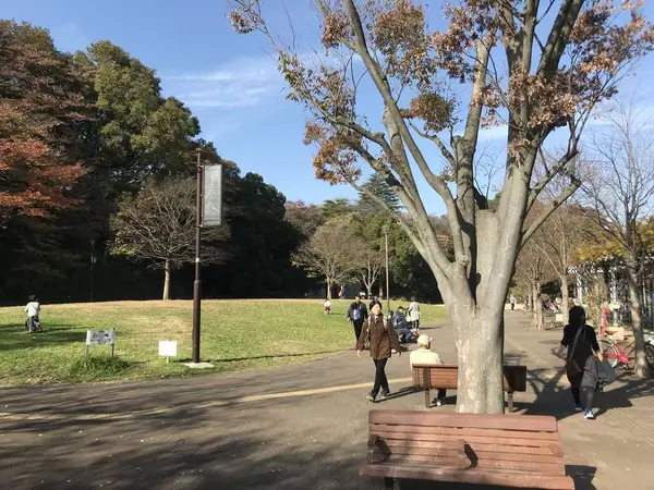 出入り口も多く有ります。