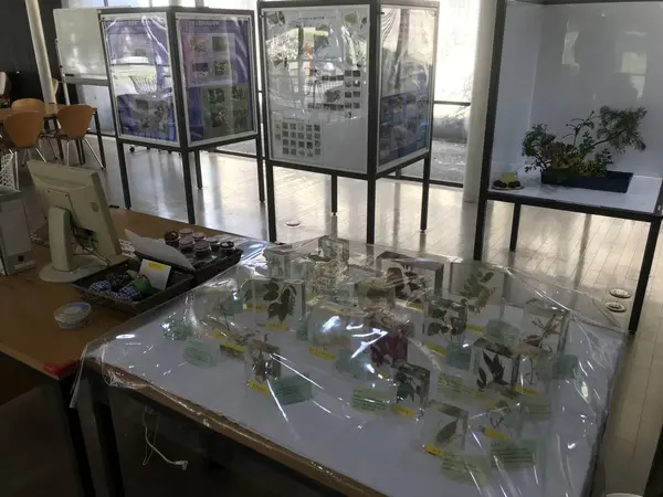 公園の植物展示