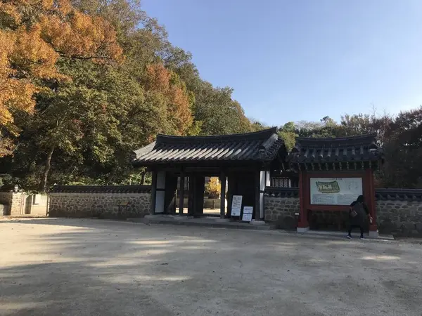 色合いは地味です。