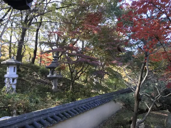 ココら辺は日本的