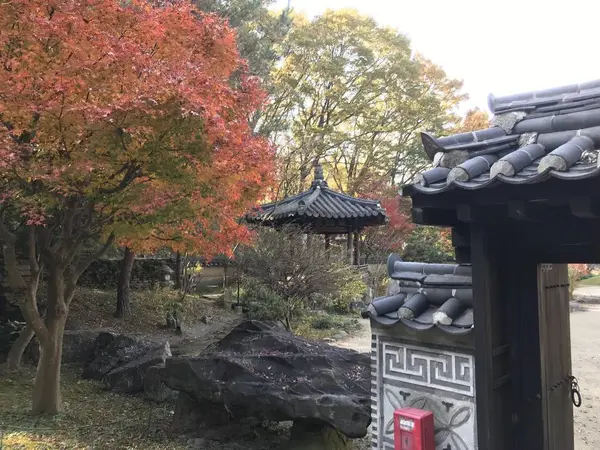 色付いた樹木が美しい