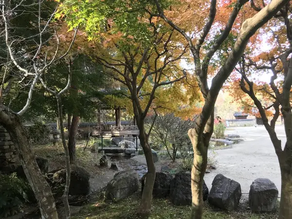 紅葉のハーモニー♪