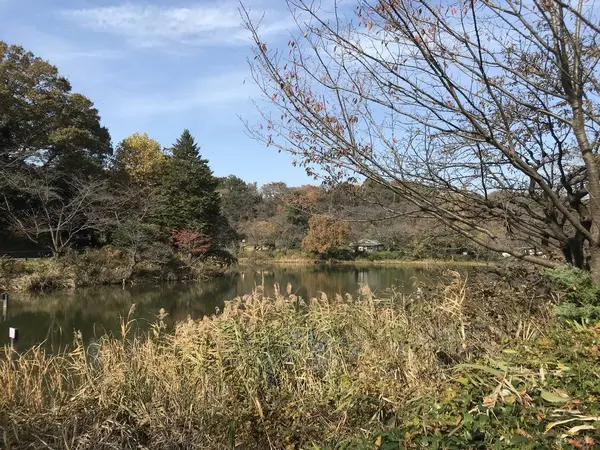 ジョギングに持ってこい。