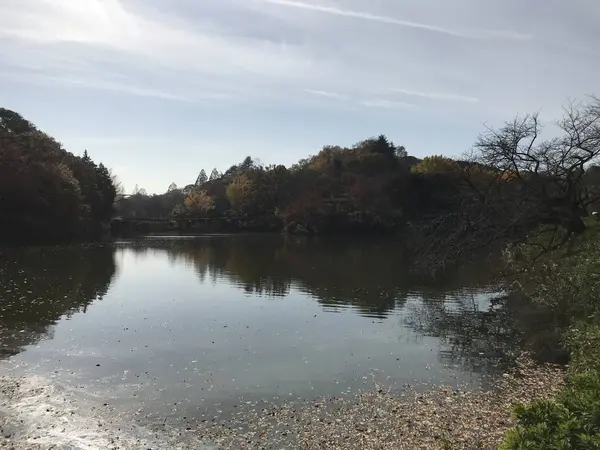 最大の池