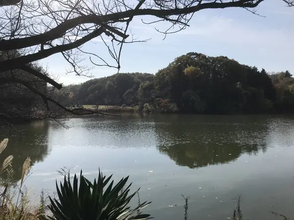 外来種生物も居るようです。