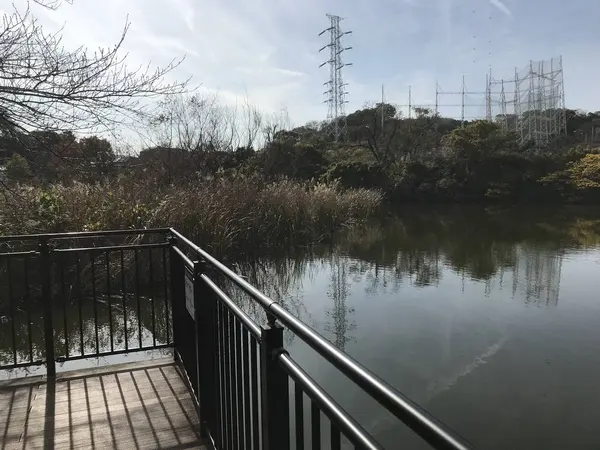池は深そうです。