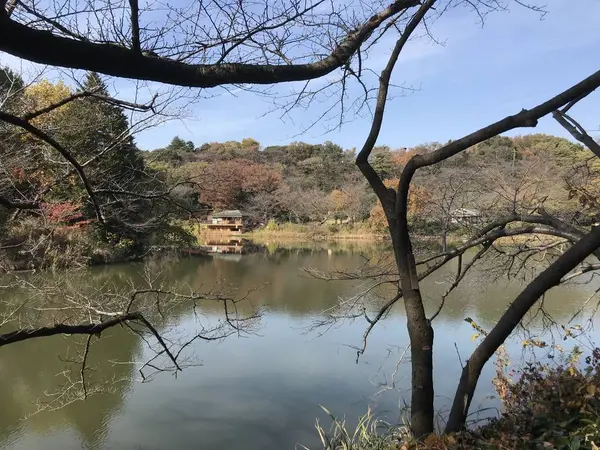 池の水は・・・