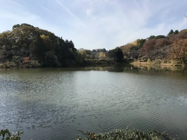 売店付近の眺め