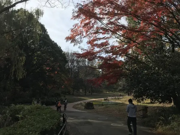 公園西口側