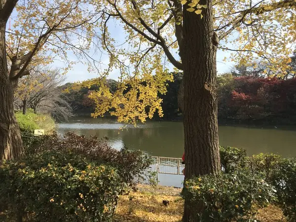 ココも絵になりますねぇ