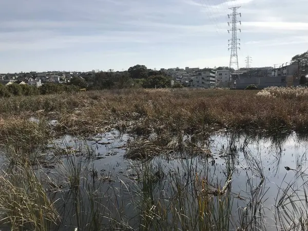 水面は思ったよりも