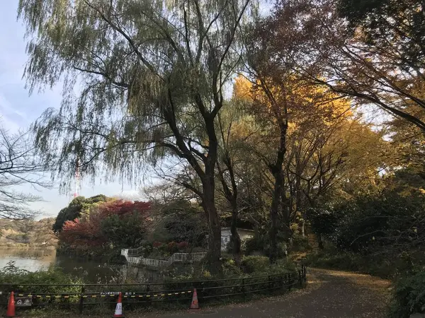 様々な色の競演。