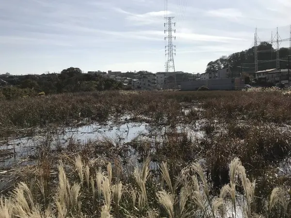 自然を生かした？