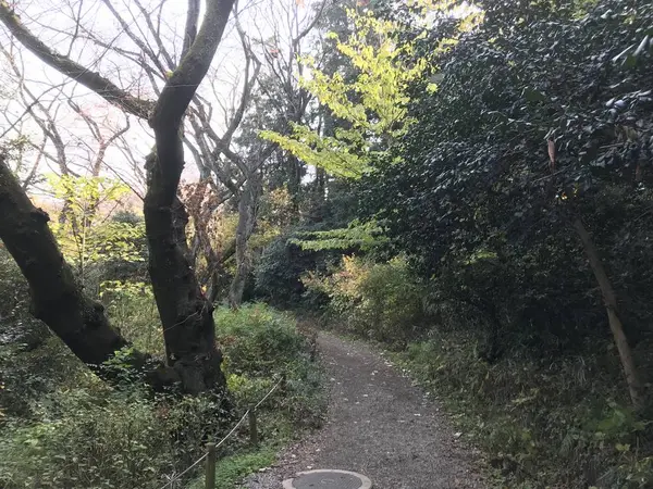 西口から上の池へ