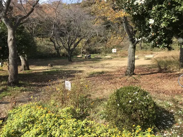 売店前広場