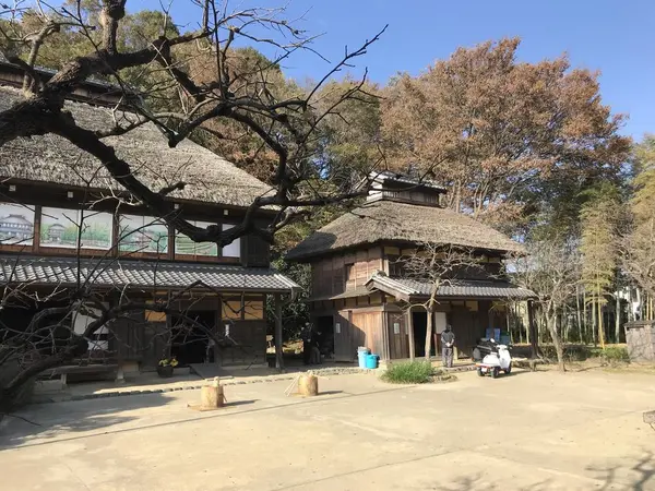保存状態が素晴らしい