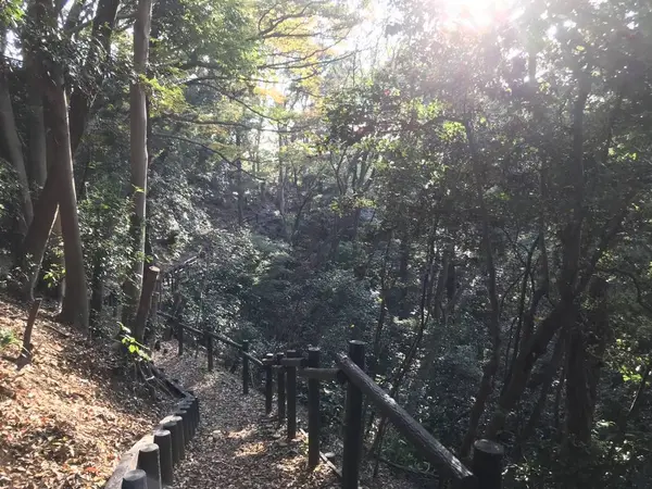 山道抜けると住宅街w