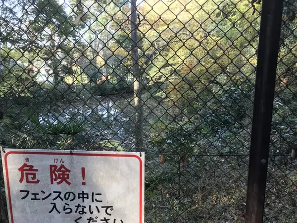 覗き窓以外の池の景色です。