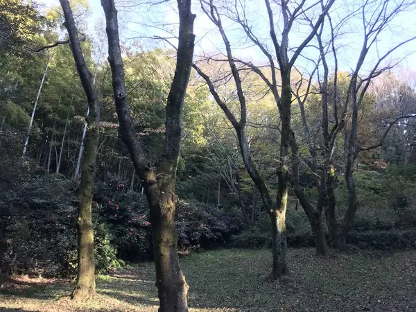 池の近くの広場
