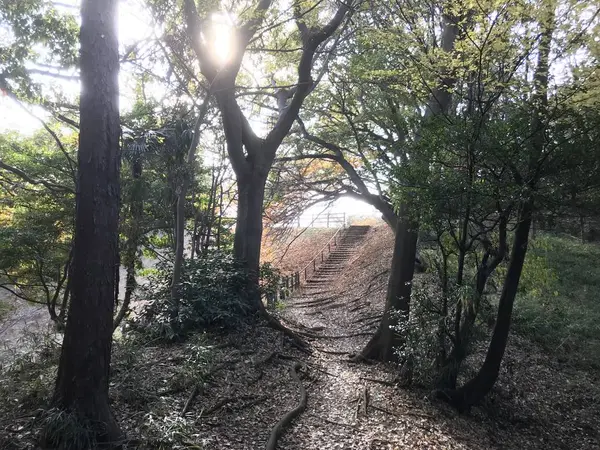 神奈川に多い地形