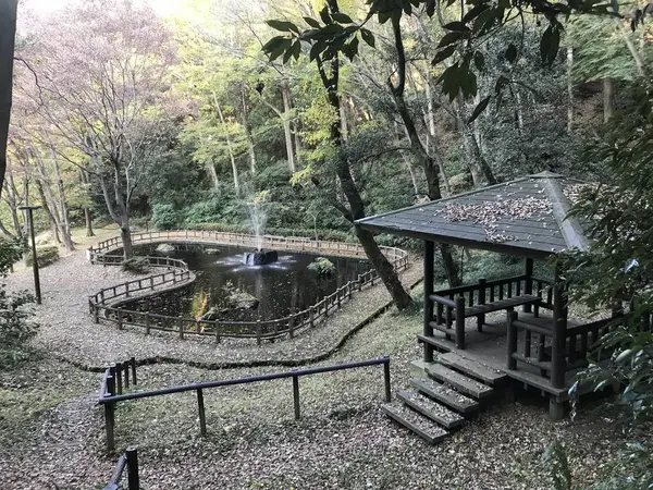 ハート型の池