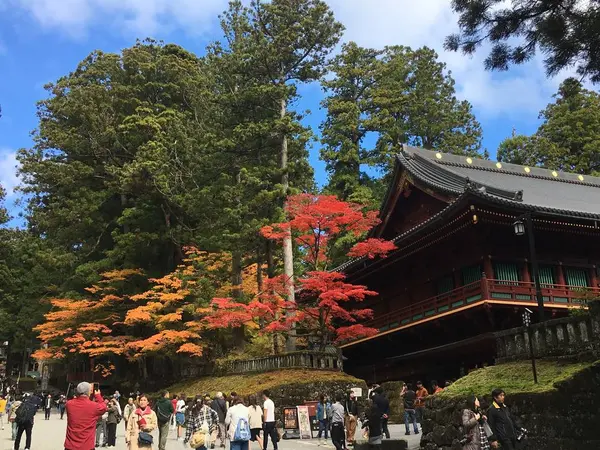 紅葉映え